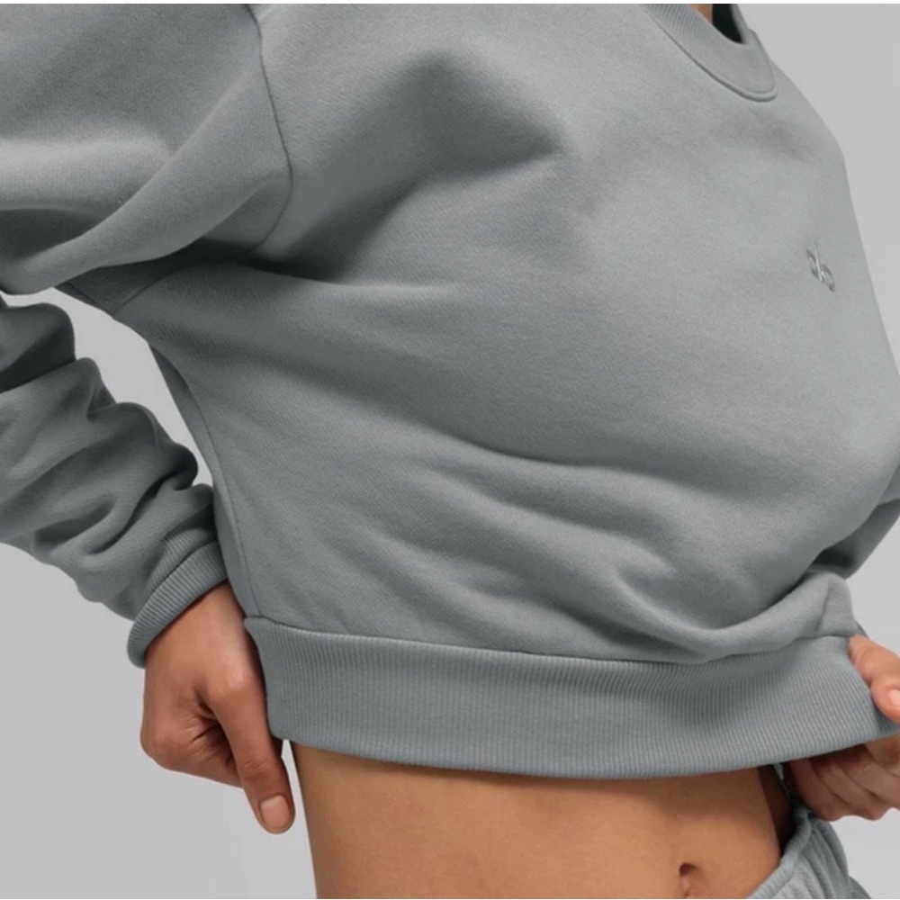 ALO Yoga Lunar Gray Cropped Hoodie NWT Size Medium - Picture 3 of 10